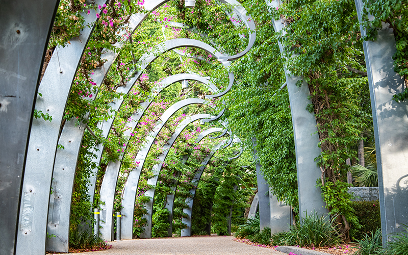 Curved steel in architecture